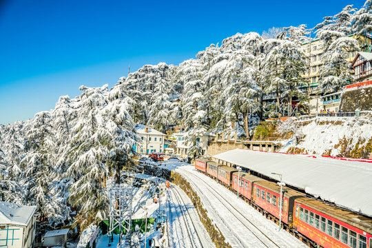 Shimla Kufri Getaway